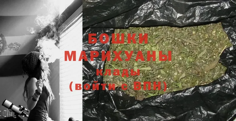 Шишки марихуана план  Новосиль 